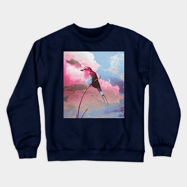 Colorful bird sky Crewneck Sweatshirt by Frajtgorski